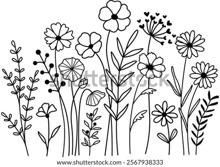 Hand drawn flower meadow Style vector illustration, Wild flower outline drawing, Botanical flowers and leaf herbs isolated on white Background, Invitation, Wedding card, Greeting card, Posster.