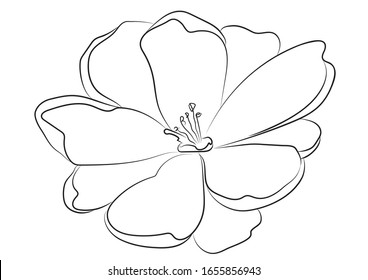 Hand drawn flower on white background. Can be used for logotypes creating, wedding invitations and greetings and business cards, for your branding, web design, pattern
