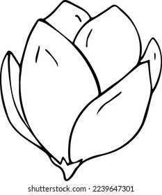 Hand drawn flower on white background. One line contour floral drawing. Outline botanical element. Vector illustration