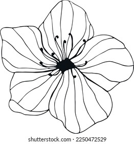 Hand drawn flower on white background. One line contour floral drawing. Outline botanical element. Vector illustration