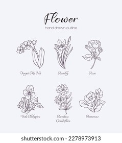 Hand drawn flower outline elements vector