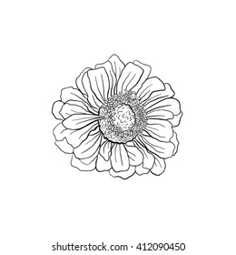Hand drawn flower. Flower outlines in sketch style isolated on white background. Black ink flower illustration for coloring books.