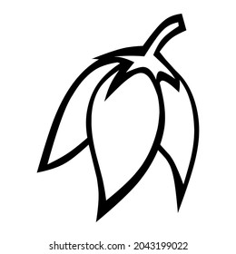 hand drawn flower plant illustration