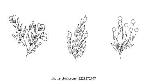 hand drawn flower plant leaf vector minimalist