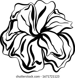 hand drawn flower plants on white background in Doodle style