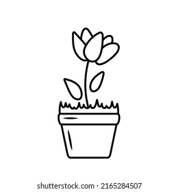 Hand drawn of flower in a pot. Doodle. Home plant in sketch style. Vector illustration isolated on white background.