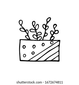 Hand drawn flower in a pot isolated on a white background. Doodle, simple outline illustration. It can be used for decoration of textile, paper.