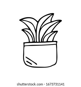 Hand drawn flower in a pot isolated on a white background. Doodle, simple outline illustration. It can be used for decoration of textile, paper.