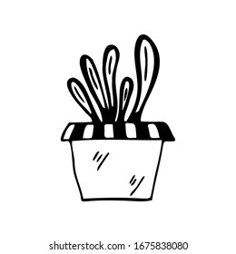Hand drawn flower in a pot isolated on a white background. Doodle, simple outline illustration. It can be used for decoration of textile, paper.
