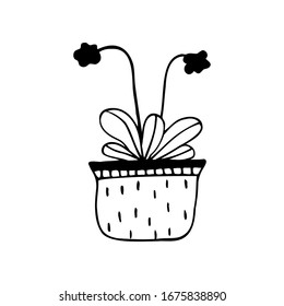 Hand drawn flower in a pot isolated on a white background. Doodle, simple outline illustration. It can be used for decoration of textile, paper.