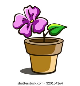 Hand drawn flower in a pot on the white background. Vector illustration