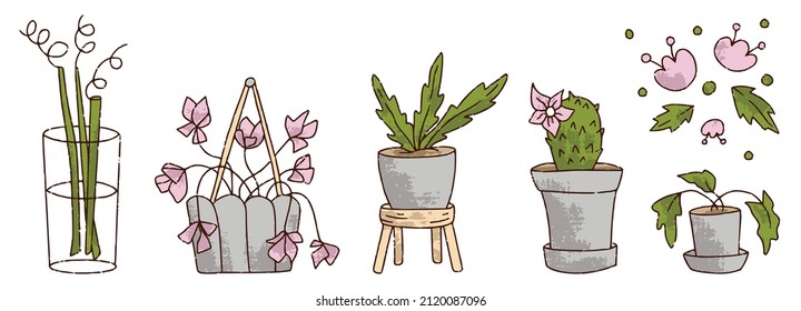 Hand drawn flower pot set for florist shop, cactus, dracaena in color isolated on white background, concept for sticker, card, banner. Floristry handicraft on white. Hand drawn vector illustration