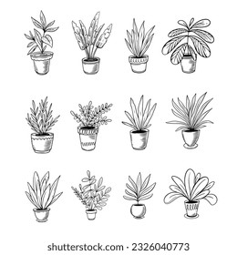 Dibujo manual de flor conjunto de ilustración vectorial de color negro. Aislado sobre fondo blanco.