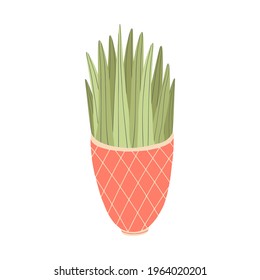 Hand drawn flower in a pot, succulent isolated on a white background. Doodle, illustration in a simple flat style. It can be used for decoration of textile, paper and other surfaces.