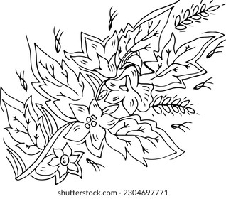 Flor dibujada a mano y rosa 