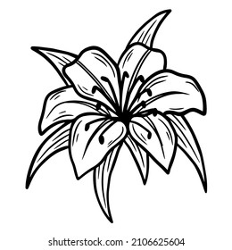 Hand Drawn Flower Rose leafs naturals isolated sticker black botanical Line Art illustration