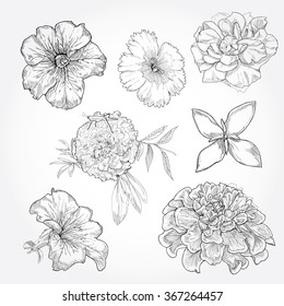 Hand Drawn Flower Set