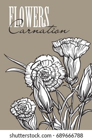 Hand drawn flower set carnation