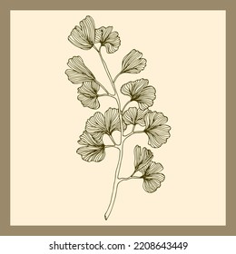 Hand drawn flower set collection