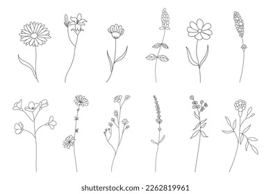 handgezeichneter Blumensatz, Doodle-Blumen, Pflanzen, Vektorgrafik