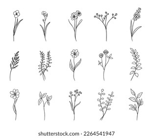 flor tallada a mano, flores de doodle, plantas, conjunto botánico, ilustración vectorial