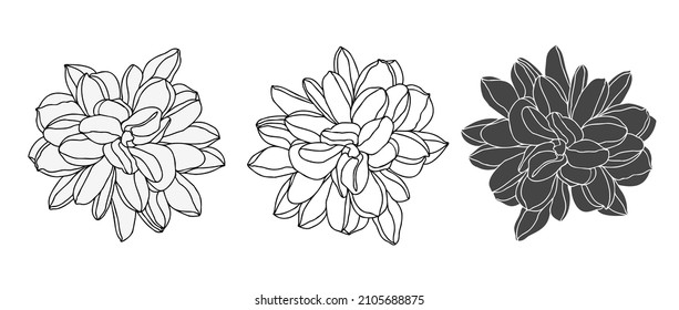 Hand drawn flower set, isolate on white background silhouette and line art. Dalia flower head for logo or tatoo 