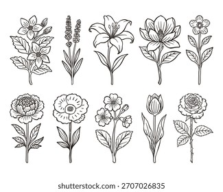 Conjunto de flores dibujadas a mano Colección de ilustración de arte de línea
