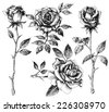 florist roses