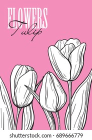 Hand drawn flower set tulip