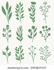 Hand Drawn Flower silhouette. Leaves and floral silhouette 