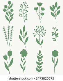 Hand Drawn Flower silhouette. Leaves and floral silhouette 