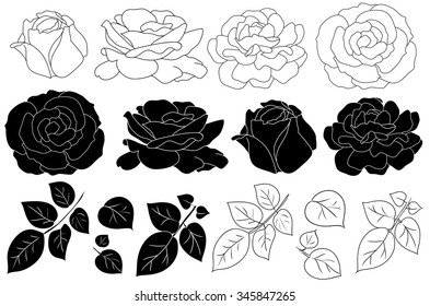 Hand drawn flower  silhouette set, rose collection