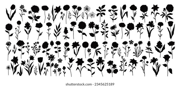 hand drawn flower silhouettes vector illustration 