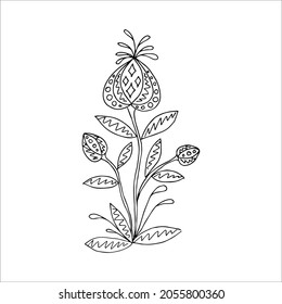 Hand drawn flower single doodle element for coloring, black and white vector image