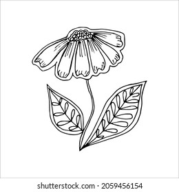 Elemento de doodle sencillo de flor dibujado a mano para la imagen de un vector de color, negro y blanco
