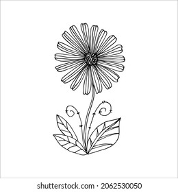 Hand drawn flower, single doodle element  for coloring, design, poster, invitation, postcard. Black and white vector image