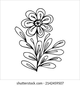 Elemento de doodle sencillo de flor dibujado a mano para la imagen de un vector de color, negro y blanco