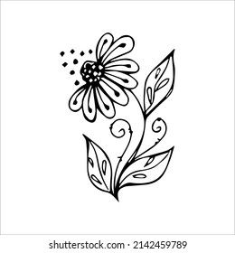 Hand drawn flower single doodle element for coloring, black and white vector image