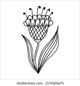 Hand drawn flower single doodle element
