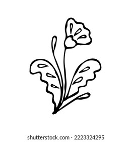 elemento de doodle único de flor dibujado a mano
