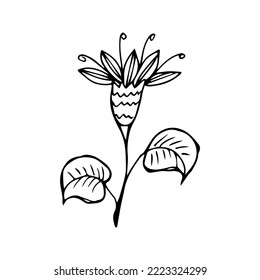 hand drawn flower single doodle element