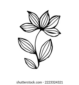 handgezeichnetes, einzeldoodles Blütenelement
