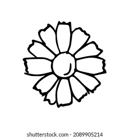 Hand gezeichnete Blume, Einzelelement, Doodle einzeln auf weißem Hintergrund, Linienkunst
