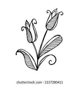 Hand drawn flower single element for coloring, black and white vector image