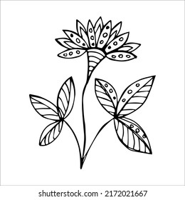 Hand drawn flower single element for coloring, black and white vector image