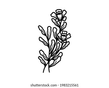 Hand drawn flower sketch line art illustration set.