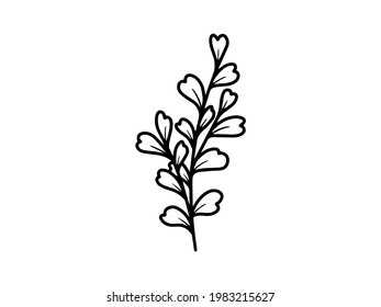 Hand drawn flower sketch line art illustration set.