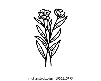 Hand drawn flower sketch line art illustration set.