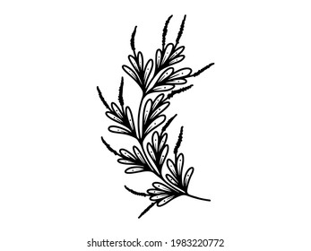 Hand drawn flower sketch line art illustration set.