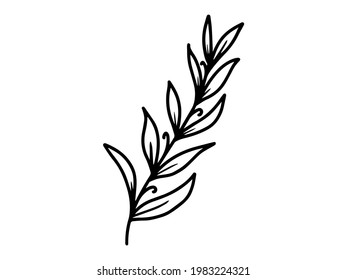 Hand drawn flower sketch line art illustration set.